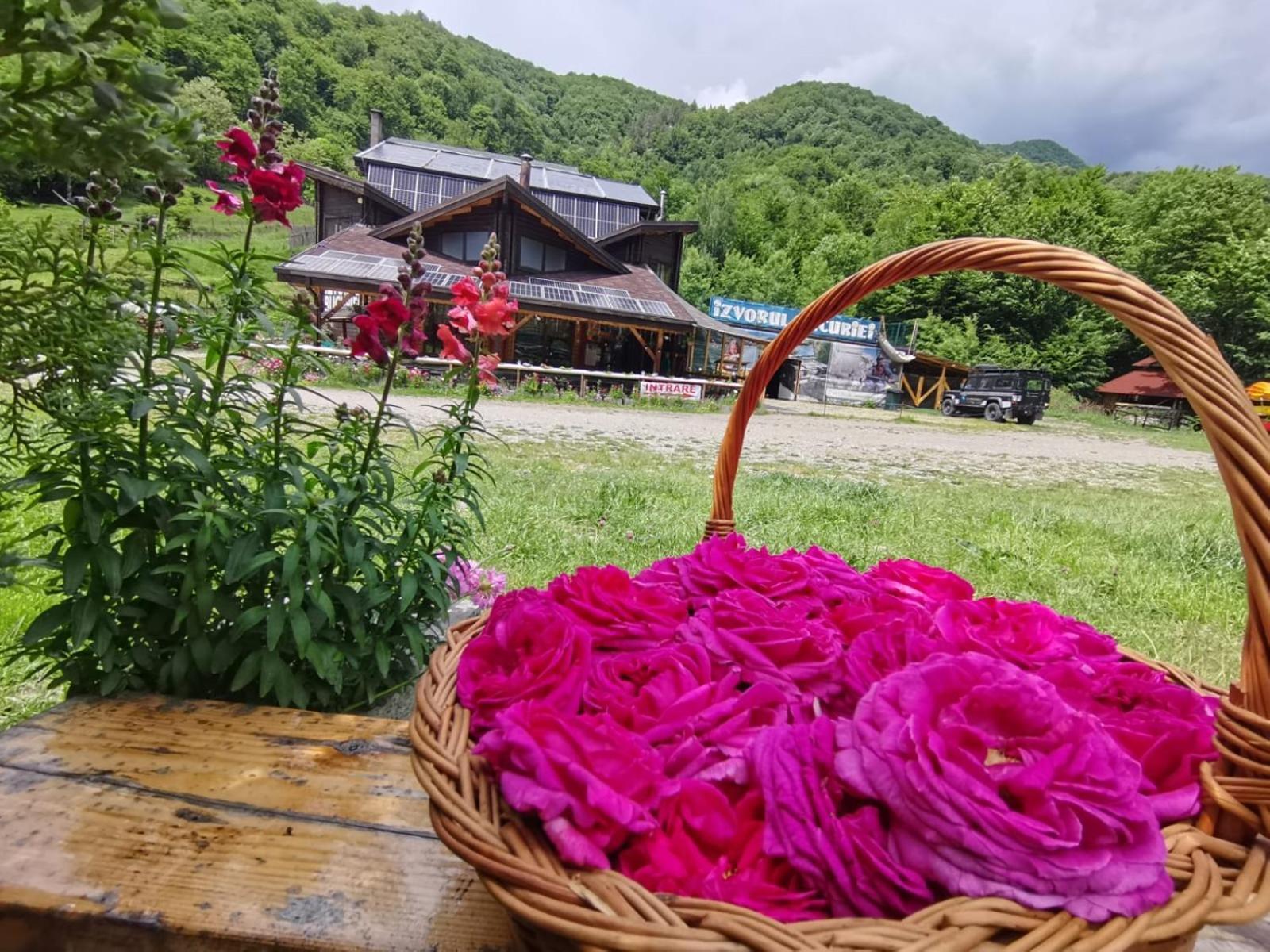 Pensiunea Izvorul Bucuriei 시리우 외부 사진
